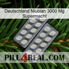 Germany Niubian 3000 Mg Superpower 07